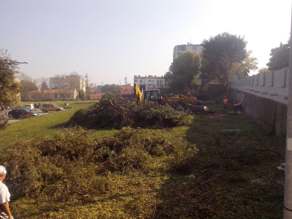 blog-img-10